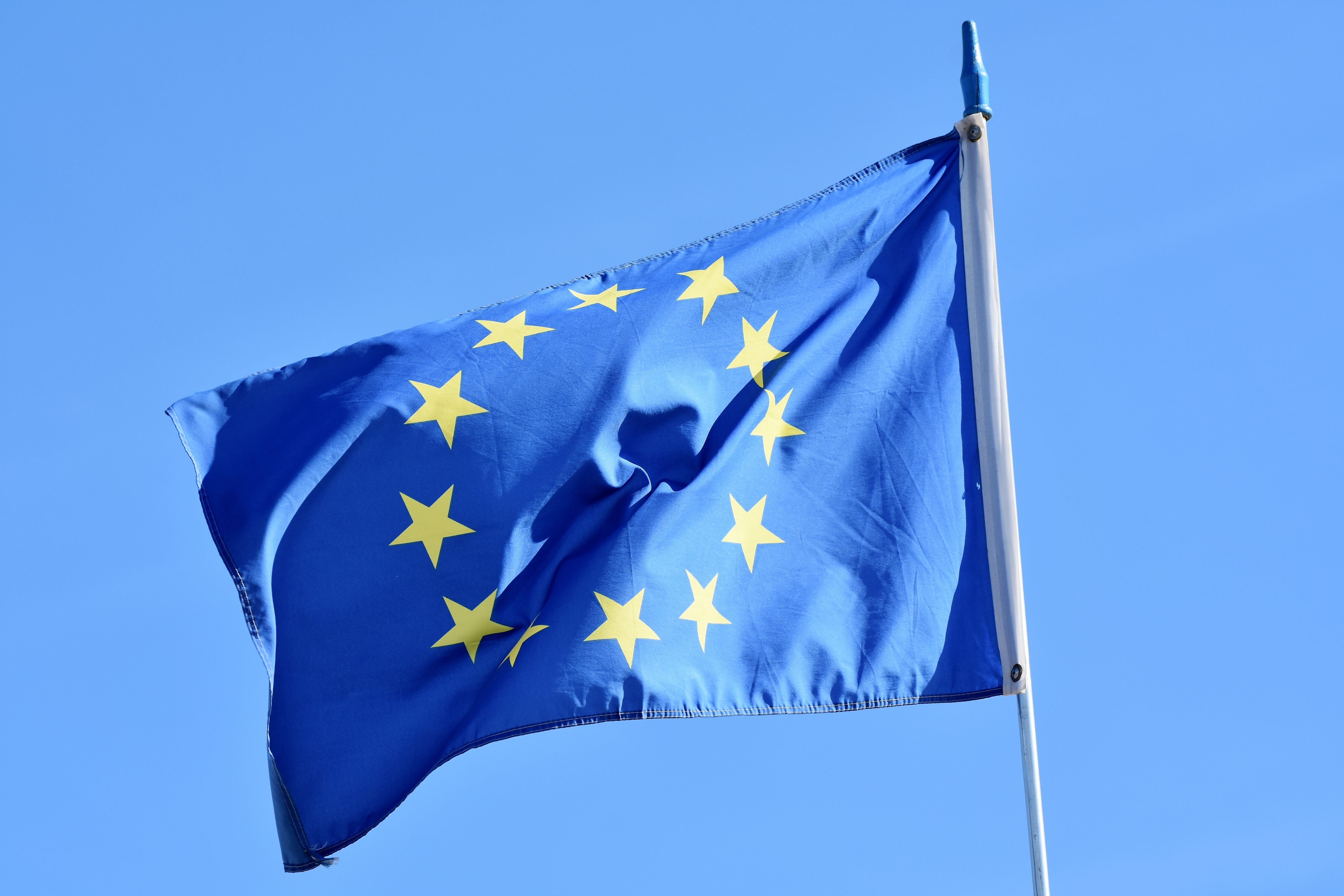 Евросоюз страны сша. Флаг совета Европы. Македония ЕС. Европейский Союз. Флаг Евросоюза.